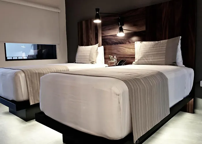 Hotel Six Two Four Urban San Jose del Cabo