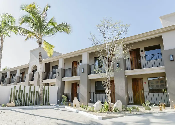 Six Two Four Urban San Jose del Cabo