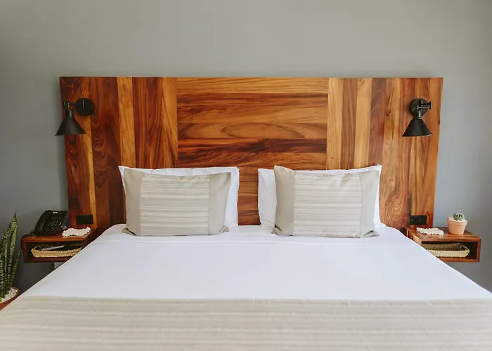 Six Two Four Urban 4* San Jose del Cabo